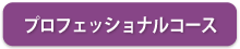 プロフェッショナルコース